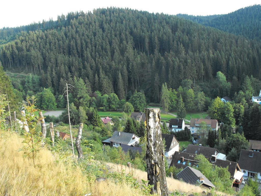 Ferienwohnung Sonnenhuegel Wildemann Εξωτερικό φωτογραφία